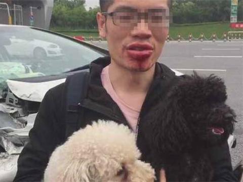 长春一辆8万本田飞度高速出车祸，事故原因，却是两只泰迪！