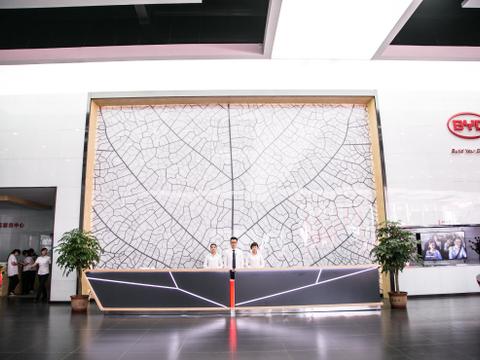 品牌升级 比亚迪全新形象店强调客户体验