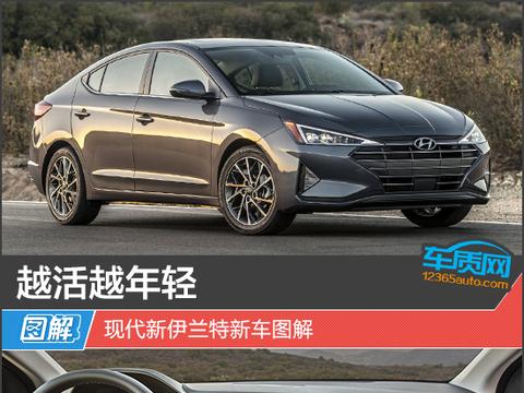 越活越年轻 现代新伊兰特新车图解