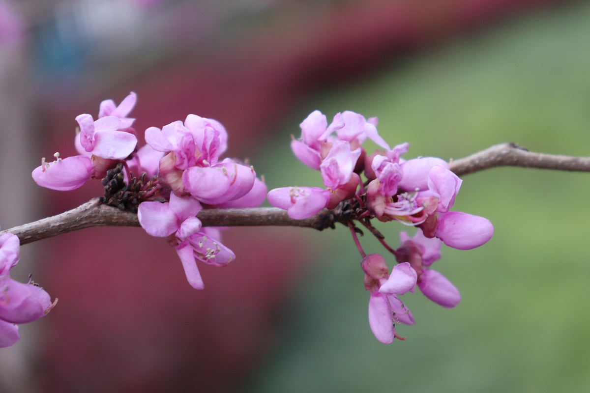 2018昆明小升初作文指导:如何用200字写出精
