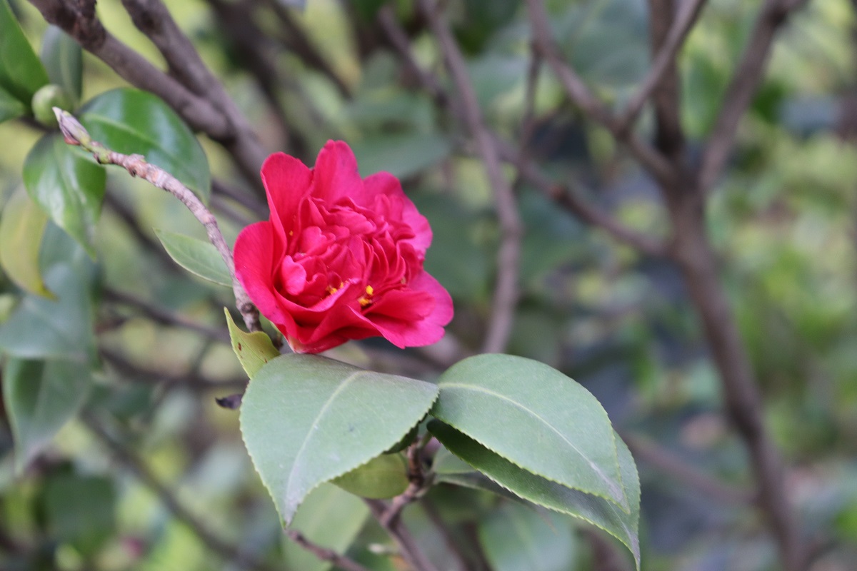 2018昆明小升初作文指导:如何用200字写出精