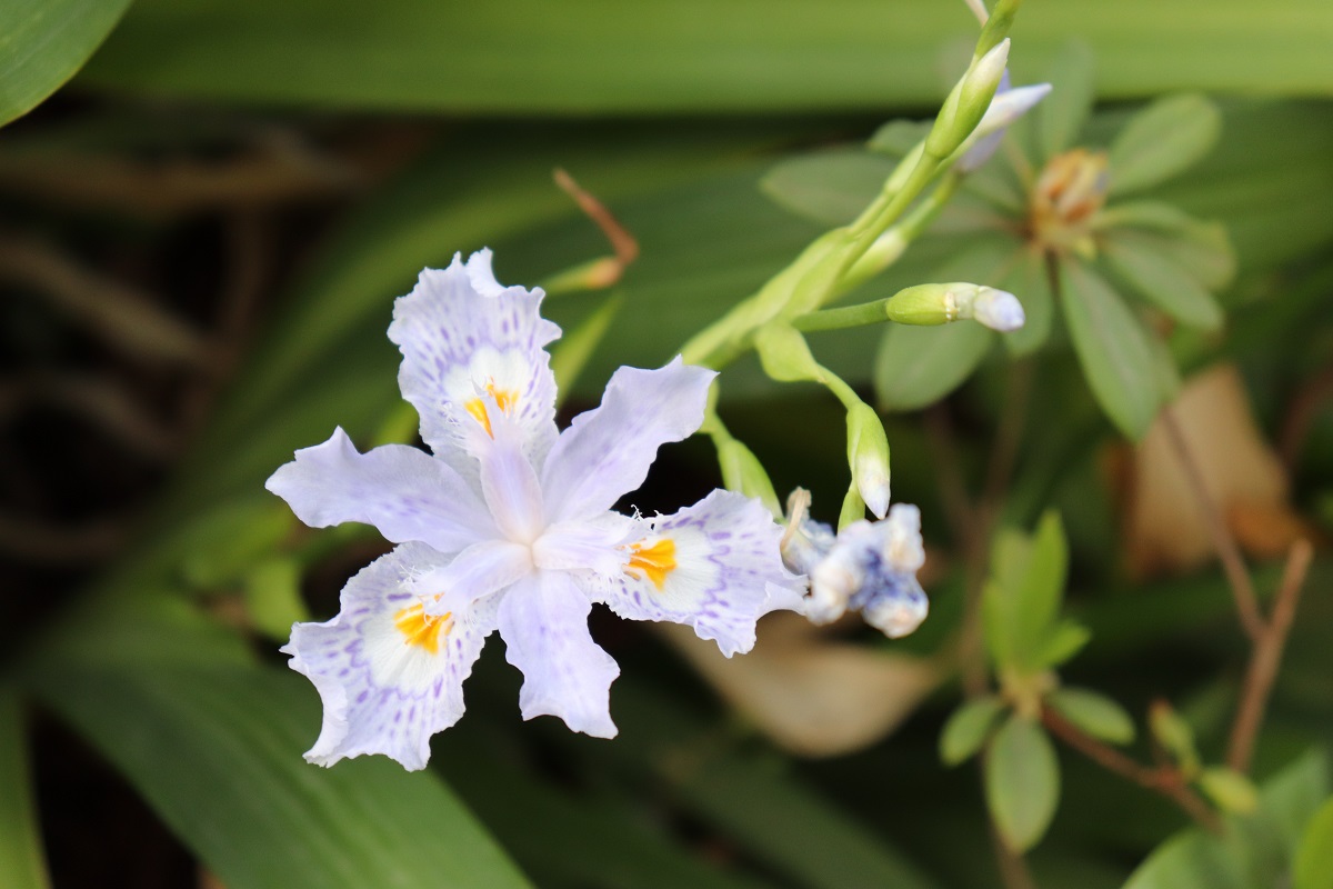 2018昆明小升初作文指导:如何用200字写出精