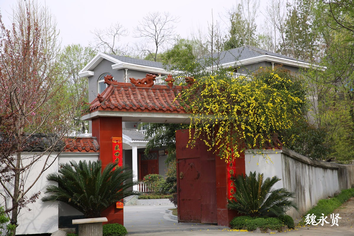 汉中勉县黄家沟村,开满了花,一栋栋农家住宅变成令人羡慕的花园别墅.