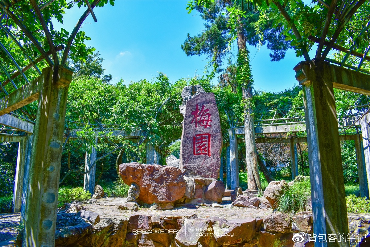 江南行|邂逅锦绣滨湖,遇见禅意无锡|梅园|灵山胜境|无锡_新浪网
