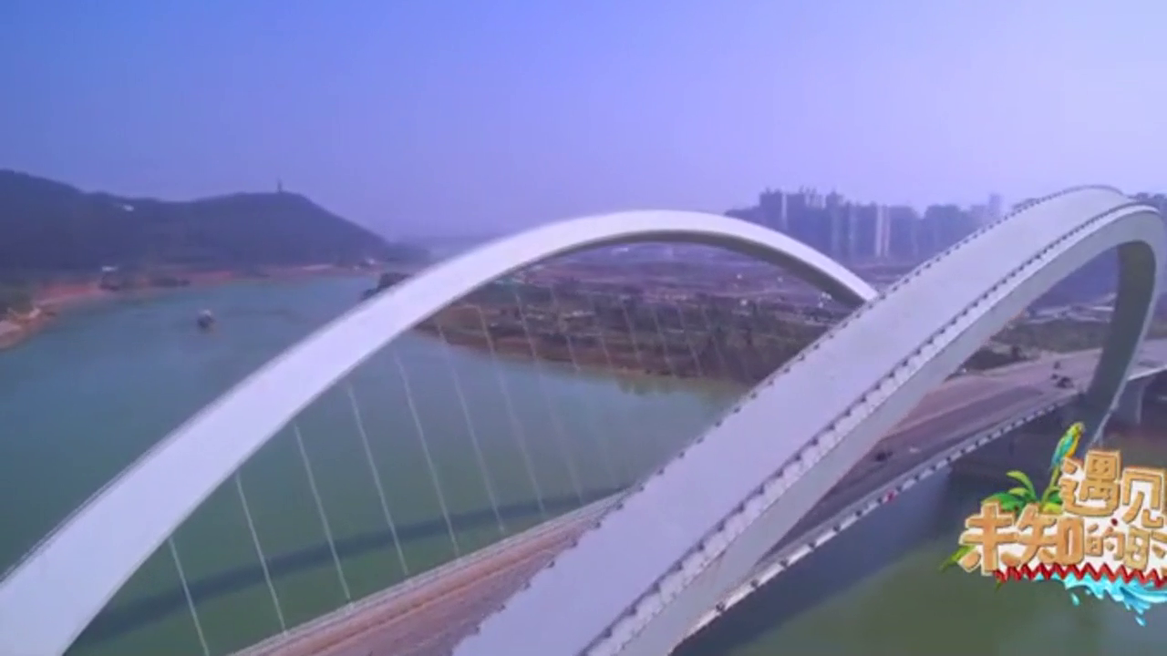 中国电动车最多的城市，被称为“电驴之城”的人都会被吓到