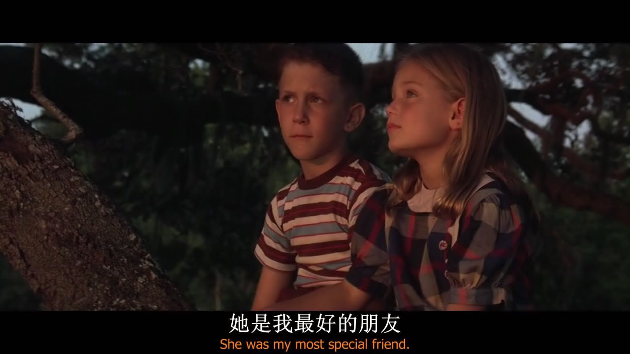 阿甘正传(Forrest Gump)经典台词
