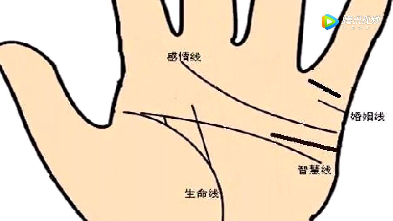 女人右手手相图解大全