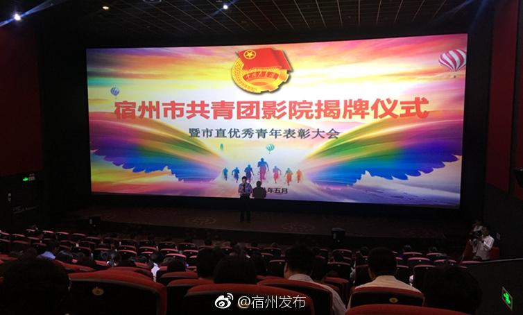 表彰优秀青年 传递榜样力量