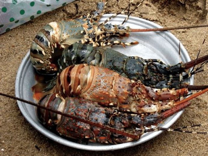 明明是度假胜地, 为什么越南芽庄在中国人眼里