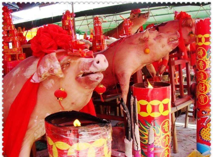 这温岭结婚习俗很特别, 迎亲车队两头猪打头, 最贵的车只用来摄影