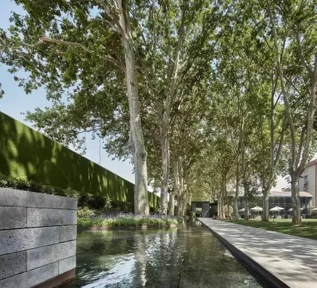 看高净值人士是如何选豪宅, 就知道成功的为什