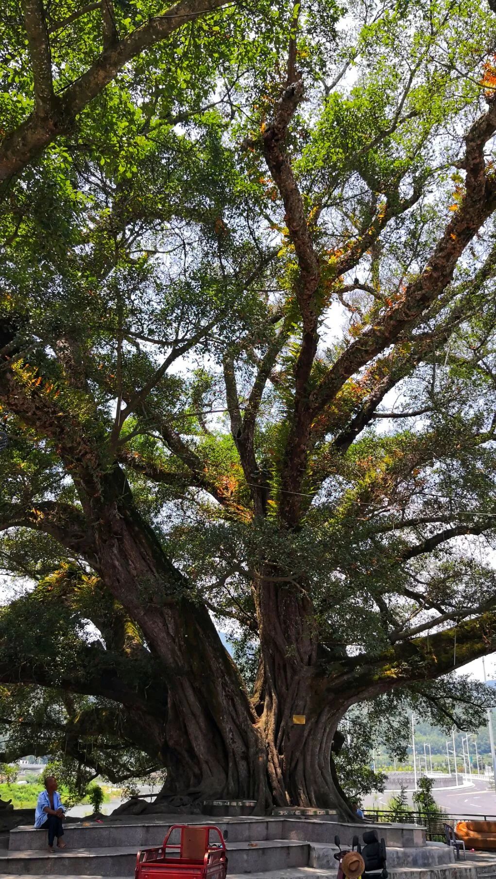 连城县关于同意局部调整新泉镇集镇总体规划的