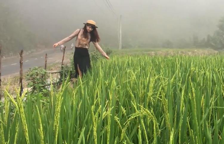 实拍越南北部山区,与我国云南接壤,据说是越南