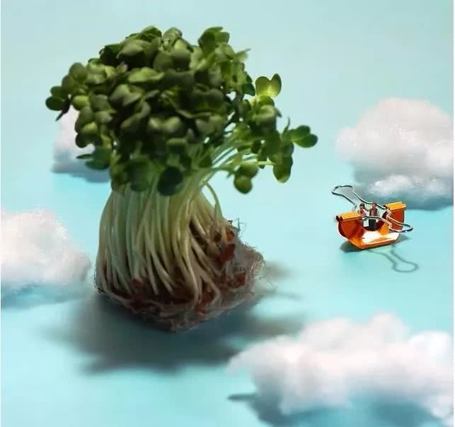 这样吃水果才配得上爱发朋友圈的你