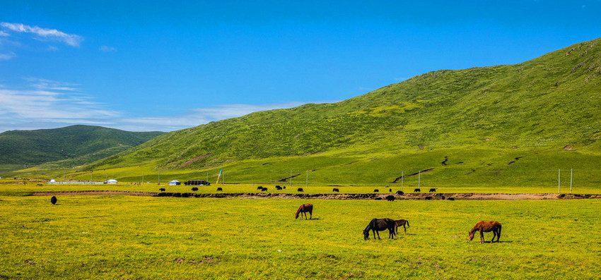 全国最穷的省, 不是新疆和西藏, 而是被误以为很