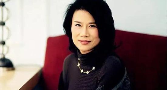 这辆国产车标比奥迪更牛气, 外观比丰田埃尔法更霸气