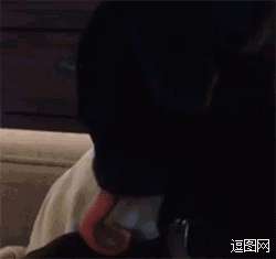 坏坏的大熊猫,哈哈,帮同伴完成了一次它们自己不敢尝试的冒险.