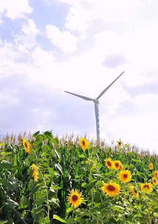 五一小长假去哪玩?北京周边最适合出游的5个