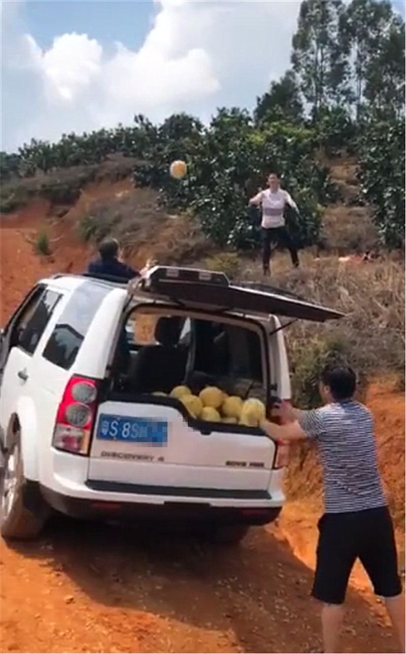 广东一男子用92万路虎运柚子,网友看后称:怪不得柚子那么贵!