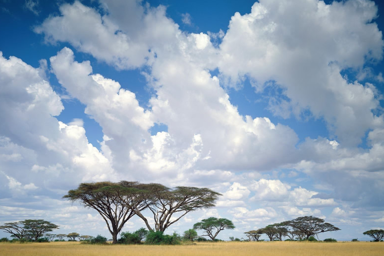 脑筋急转弯:什么东西越热越爱流出来,会很舒服