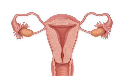生化妊娠:精子与卵子的爱情来得太快,去的更快