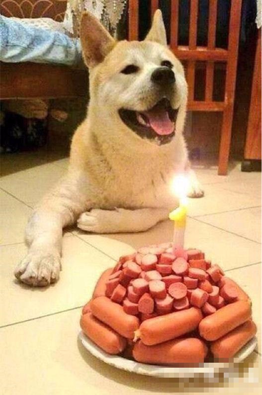 搞笑精选:狗子,生日快乐
