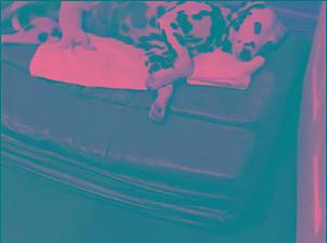 搞笑GIF动图:独生子女的优势,这奶我想怎么吃