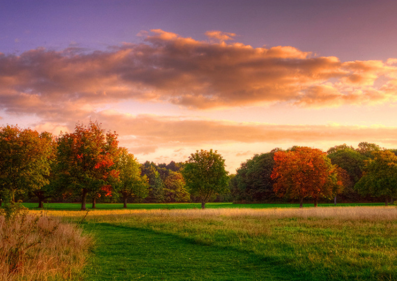 脑筋急转弯:什么东西越热越爱流出来,会很舒服