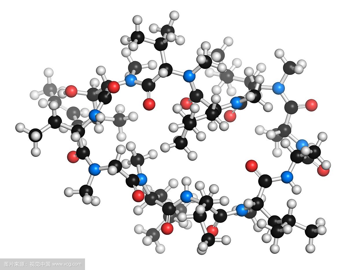 揭开环孢素A的神秘面纱