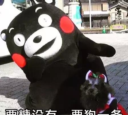 熊本熊可爱萌萌的表情,我这有糖吃哟几的小刚表情包图片
