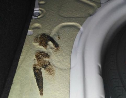 大众宝来后备箱止震片融化问题解析, 原因这个样子的