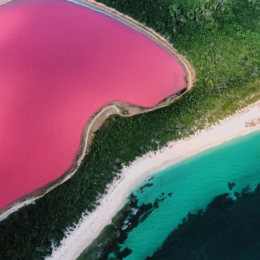 位于澳大利亚的赫利尔湖,湖水呈粉红色
