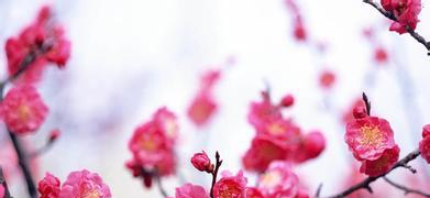 句子虽短,但很耐人寻味