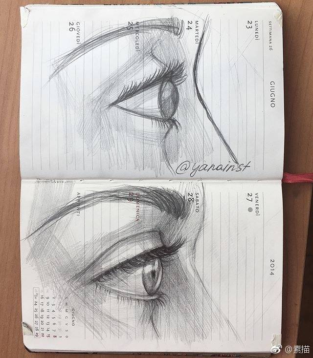 眼睛的正面和侧面画法