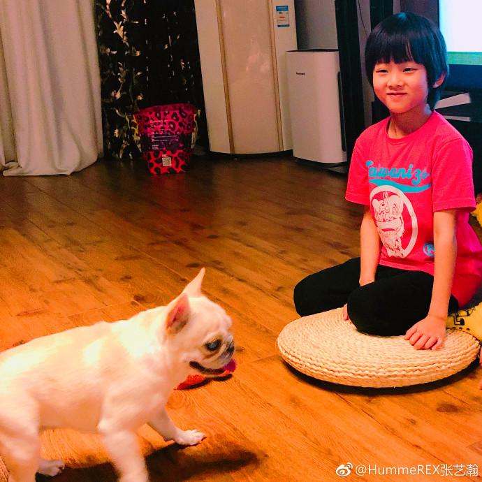 杨幂的儿子如今长成这样, 网友: 又一位长残了