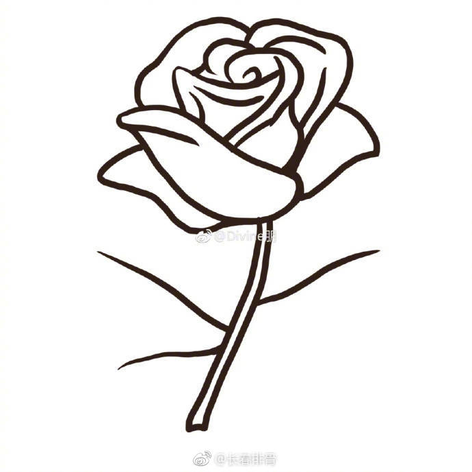 教你画一只漂亮的玫瑰花