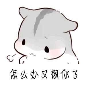 超可爱的哄老公老公:表情,我想你了,满满都是我能还什么tm表情包说图片