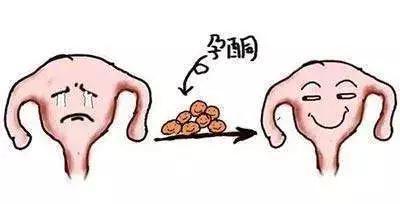 “孕酮低”究竟代表什么意义？怀孕后孕酮高低真的那么重要吗？