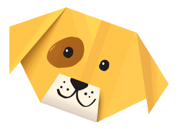 狗狗的不同品种（小型犬）｜科普