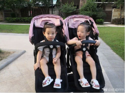 杨威晒双胞胎女儿近照，夫妻俩都才160cm的他们孩子居然是大长腿