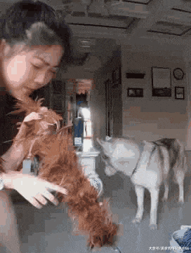 gif搞笑趣图: 我说怎么没车洗…怪不得原来技术没到位