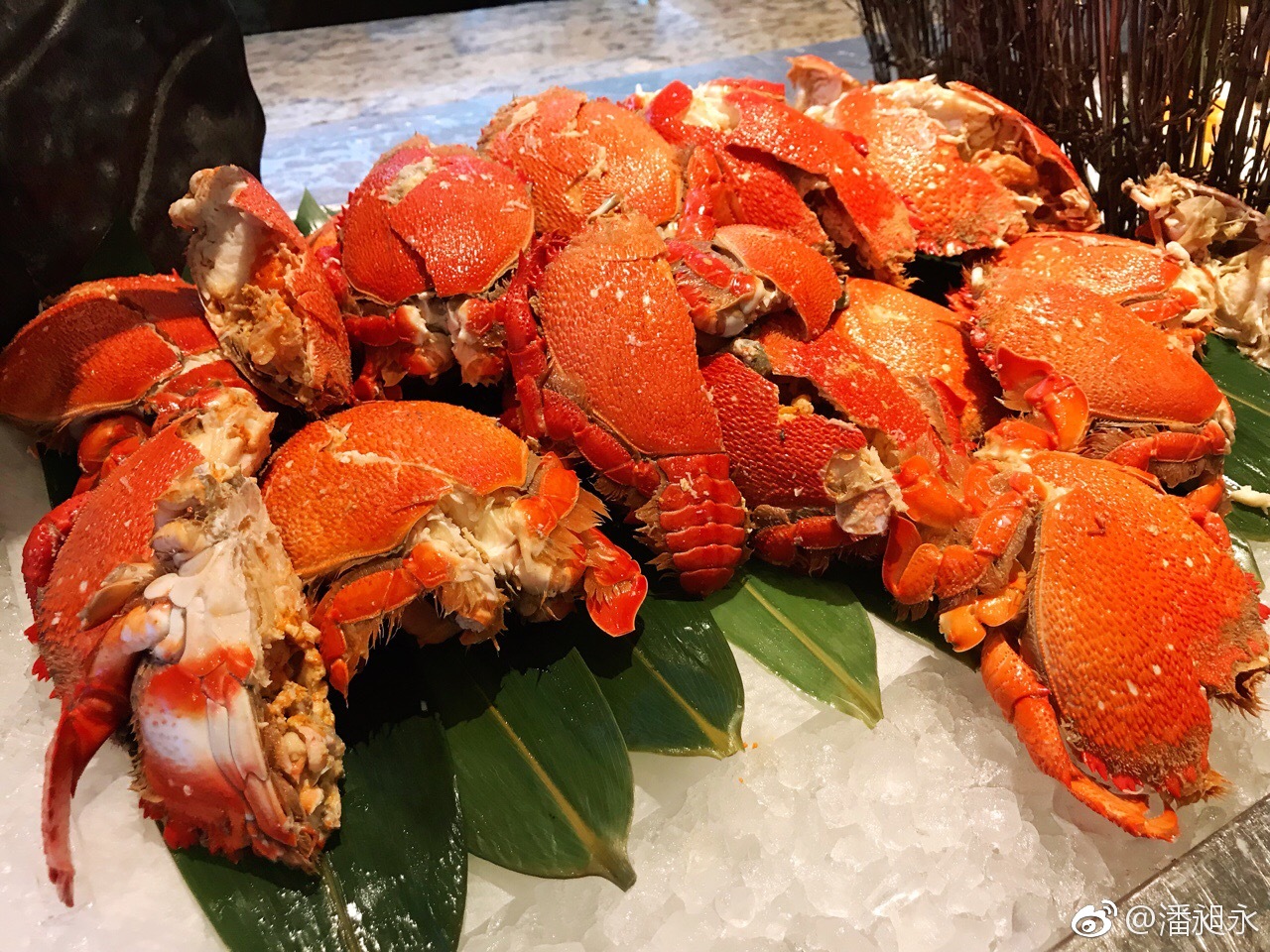 今天来上海浦东香格里拉大酒店怡咖啡享用自助