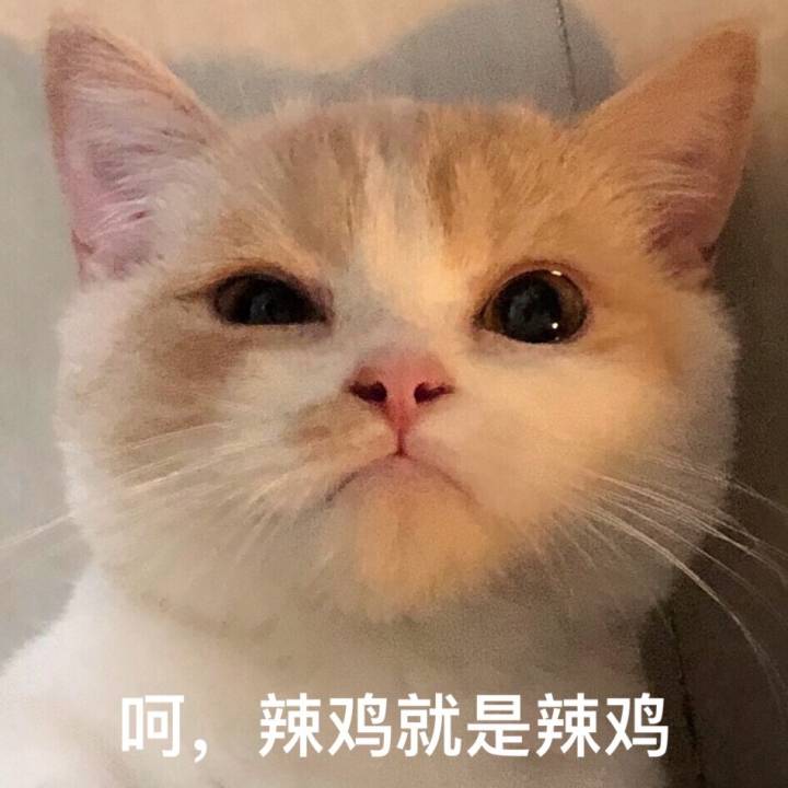 表情包292:又来了…恶心!喵喵喵?我又冷场了吗