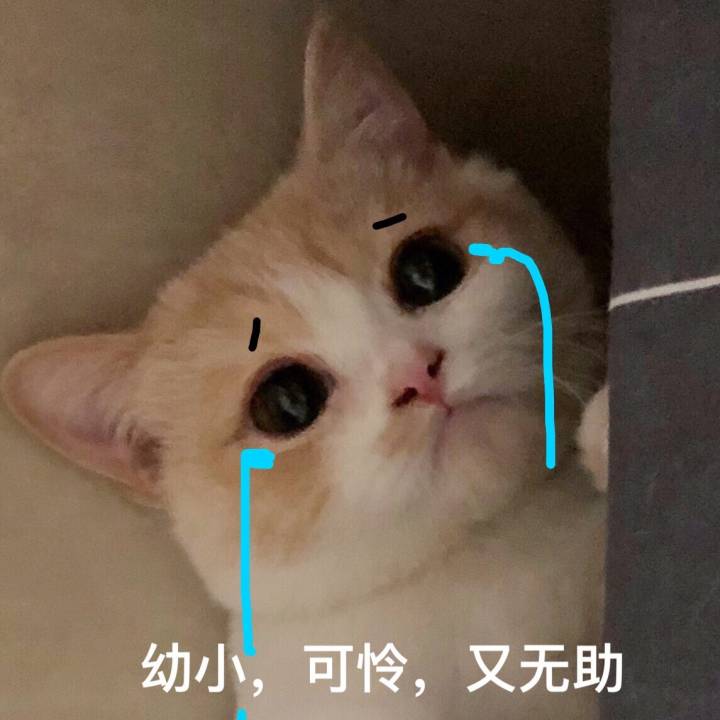 为什么跟对象聊不起来？