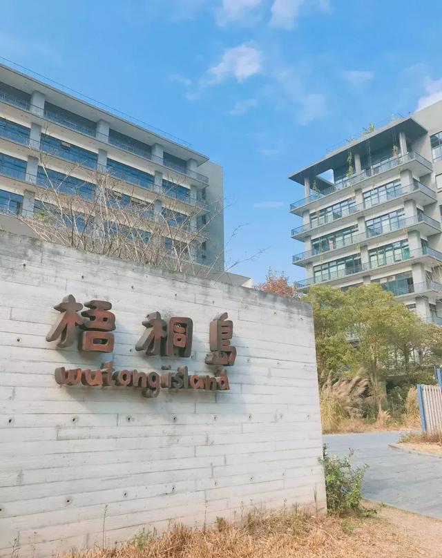 梧桐岛