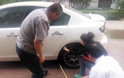 速腾车主发现底盘下有母猫, 及时救出后把母猫产的仔卖了十万