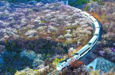 全域旅游看贵州|西南花海争相妍——高铁专列载你游