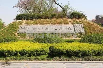 抖音新晋网红城市--郑州,这几个地方你去打卡