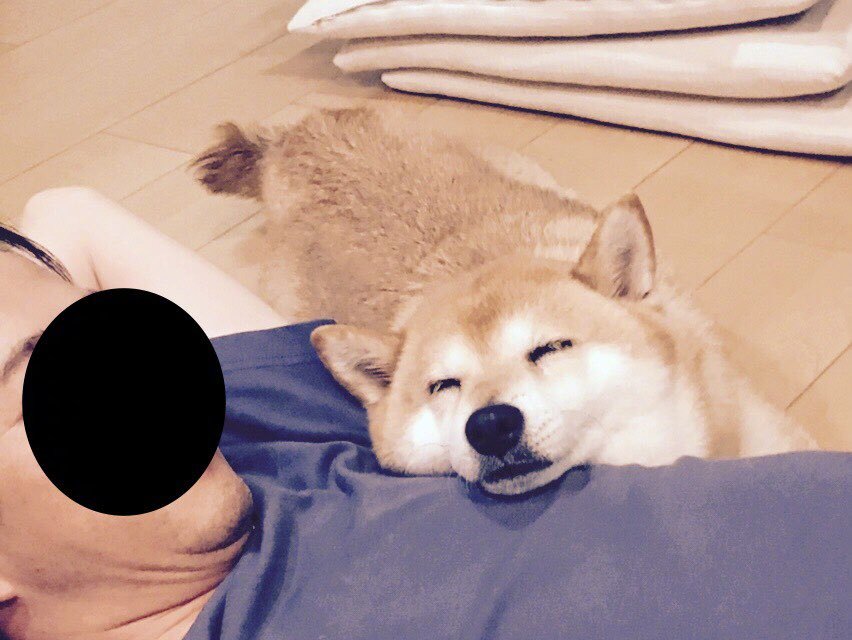 狗夫 新浪网