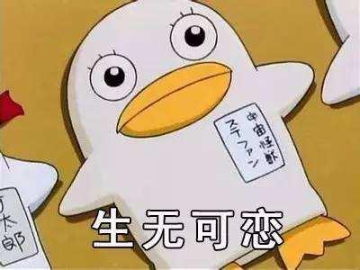在职研究生已经被取消了？认真你就输了